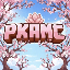 PKAMC Minecraft server icon