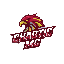ChaoticGTA Minecraft server icon