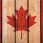 New New Canada Minecraft server icon