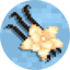PlayVanilla Minecraft server icon
