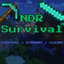 NDR Survival Minecraft server icon