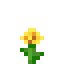 Dandelion SMP Minecraft server icon