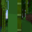 Freedom SMP Minecraft server icon