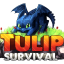 🌷 TulipSurvival 🌷NEW Simple and Friendly smp fun 26.2! Minecraft server icon