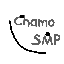 ChamoSMP Minecraft server icon