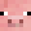 Nate SMP Minecraft server icon