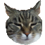 mcmaukissa Minecraft server icon