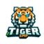 TigerSmp Minecraft-Server-Icon