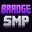 Bradge's SMP Minecraft server icon