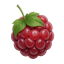 MCRaspi.com Minecraft server icon