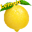 Survival Beginners Minecraft-Server-Icon