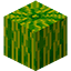Meloncity Minecraft server icon
