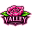 ValleyPvP Minecraft server icon