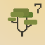 Canopy