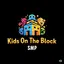Kids On The Block SMP Minecraft server icon