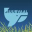 Suurvaal Minecraft server icon