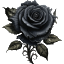 DraconiaMC Minecraft server icon