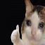 CSWPC Minecraft server icon