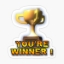 EHKs True Vanilla Minecraft server icon