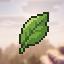 Matcha Flavoured SMP Minecraft server icon