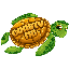 CoastyMC Minecraft server icon