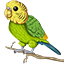 BudgieNet