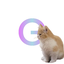 CorporationPvP Minecraft server icon