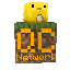QuackCraft SMP Minecraft server icon