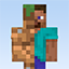 Chameleon: Camo Hide & Seek Minecraft server icon