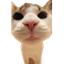 MeepCraft