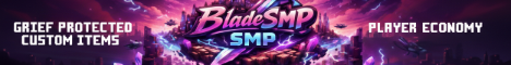VexerMC Minecraft server banner