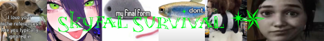 Skyfall Survival Minecraft server banner
