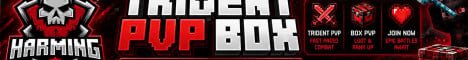 harming Minecraft server banner