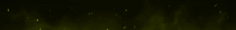 Banner Citrus MC