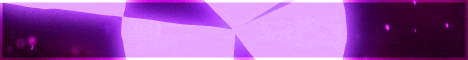 ElegantMC Minecraft server banner