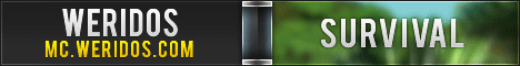 Weridos Survival Minecraft server banner