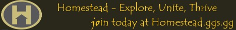 Homestead Minecraft server banner