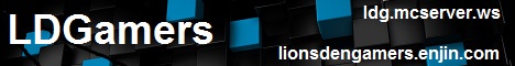 N5 - server24387 - lionmaiden Minecraft server banner