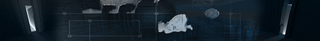 Banner Elton Palace Project