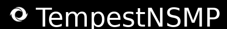 TempestNSMP Minecraft server banner