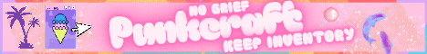 Banner Punkcraft Network