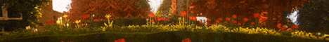 Banner COOPSIDE