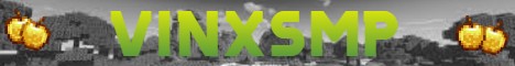 Banner vinxSMP