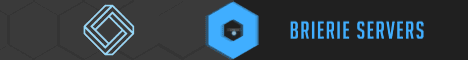 Brierie Server Network Minecraft server banner