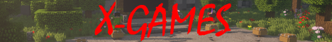 Banner X-Games