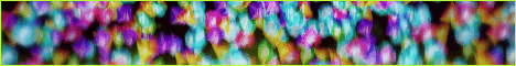 Banner CivSMP