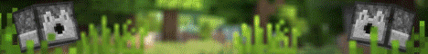 vanilla.wtf Minecraft server banner