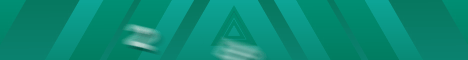 Banner 2b4t10h1y