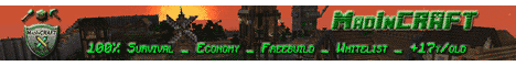 Banner MadInCRAFT
