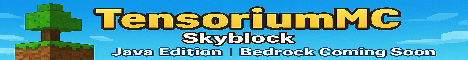 TensoriumMC Minecraft server banner